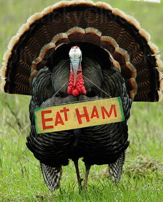 Eat Ham not Turkey